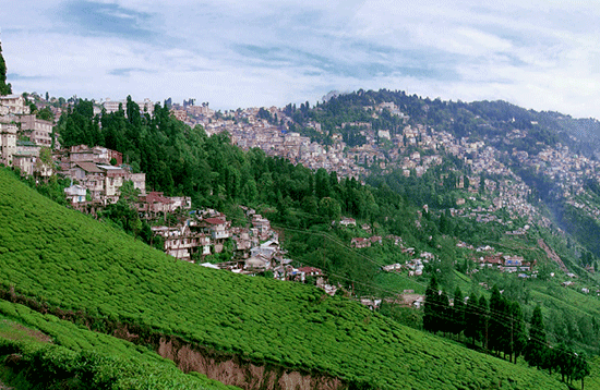 Sandakphu Trek