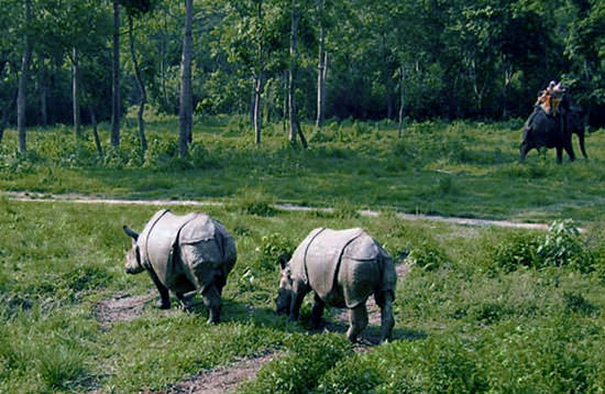Kathmandu, Pokhara & Chitwan