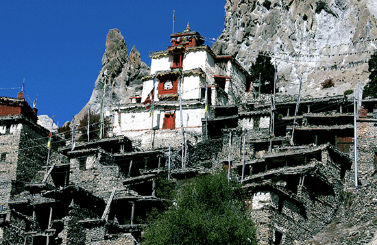 Kingdom of Mustang