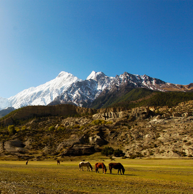 a6HoJ-kaligandai_mustang_thulo.jpg