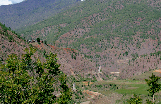 Gangtey Valley Tour